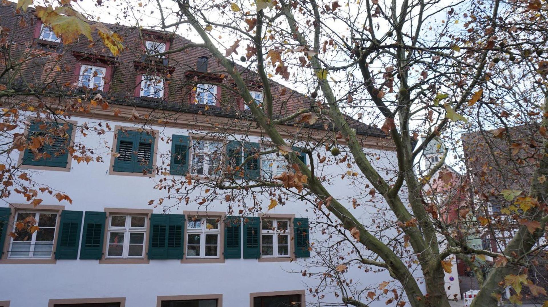 Ferienwohnung Am Klosterhof Meersburg Eksteriør billede